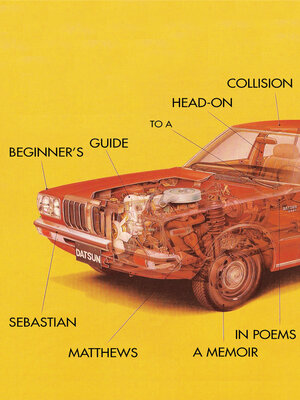 cover image of Beginner's Guide to a Head-On Collision